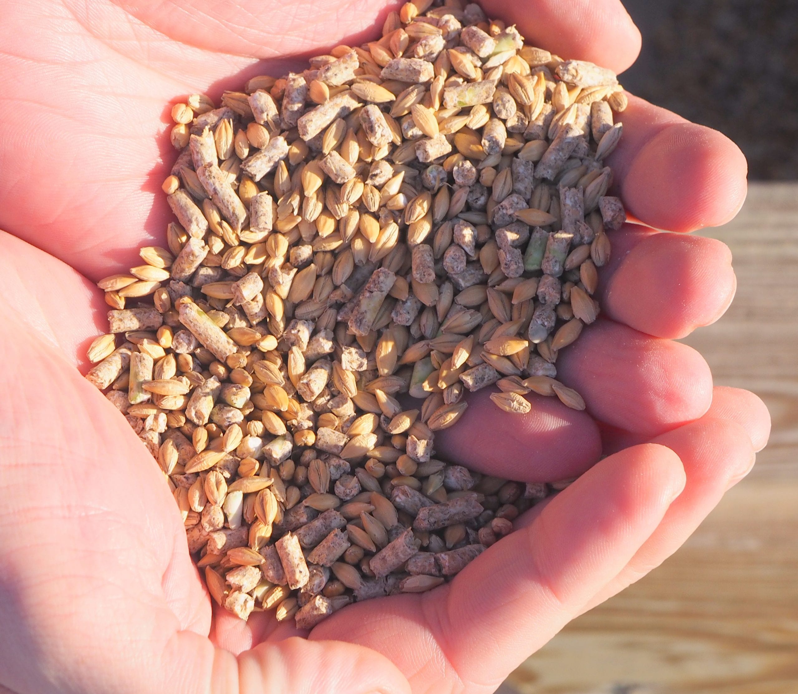 Diana Riistarehu - Image 2